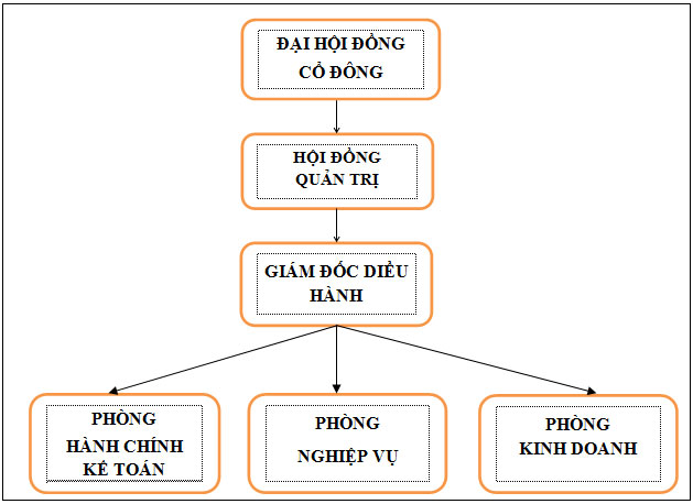 Company organization chart